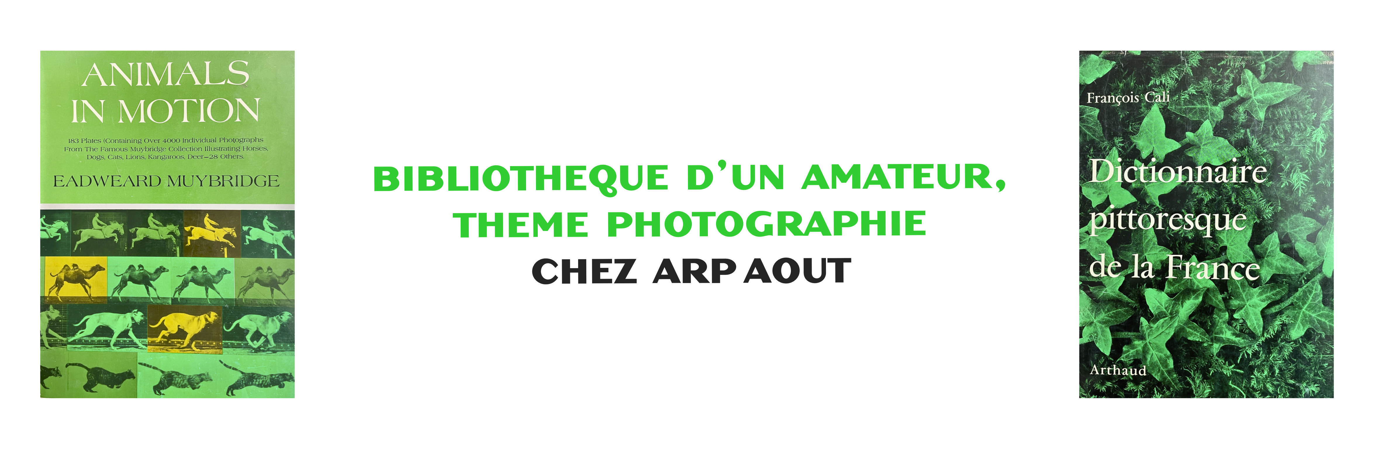 BIBLIOTHEQUE AMATEUR 